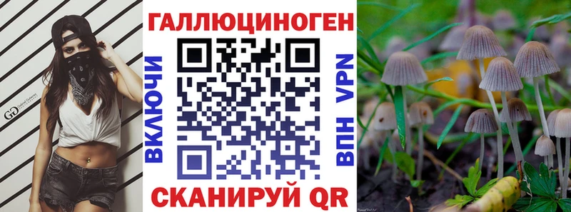 купить наркотики цена  Макушино  Псилоцибиновые грибы прущие грибы 